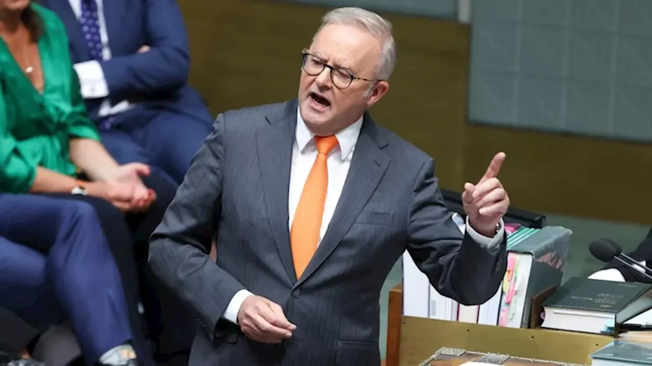 Politics LIVE updates: Parliament returns with Albanese government under pressure due to fuel crisis - 4