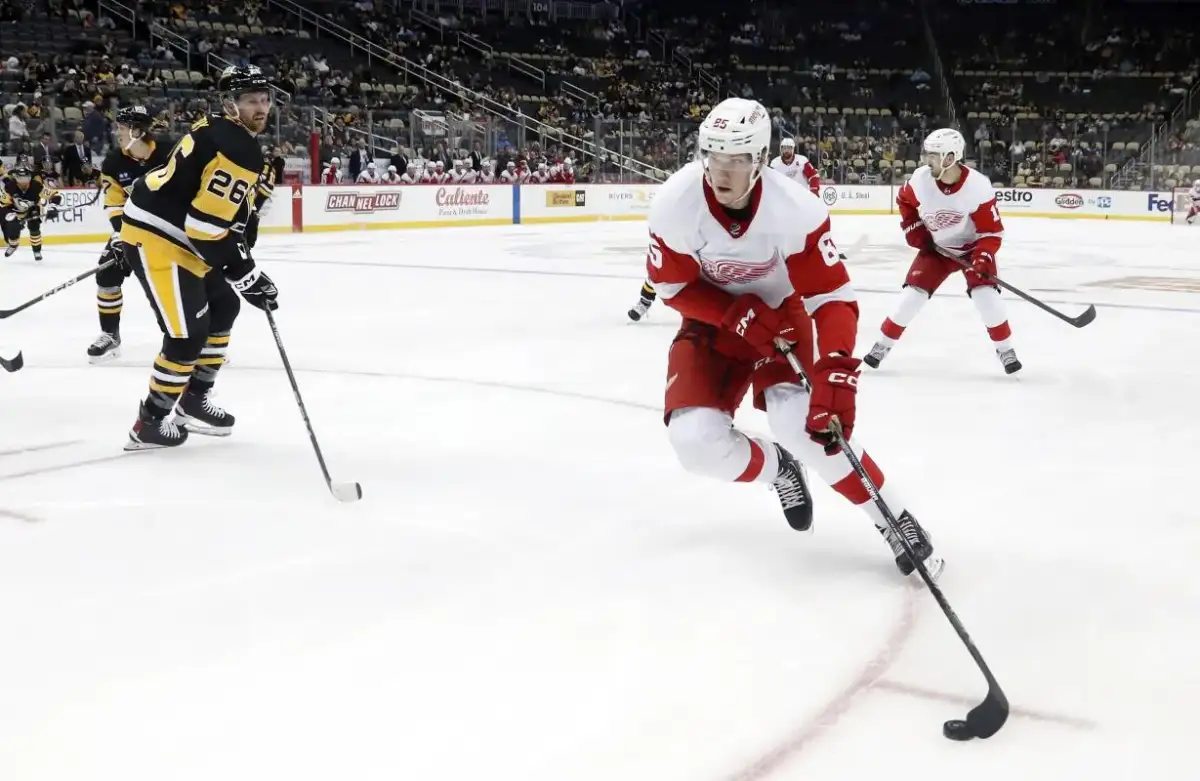 Who is Elmer Soderblom? Penguins trade for tall youngster from Red Wings - 1