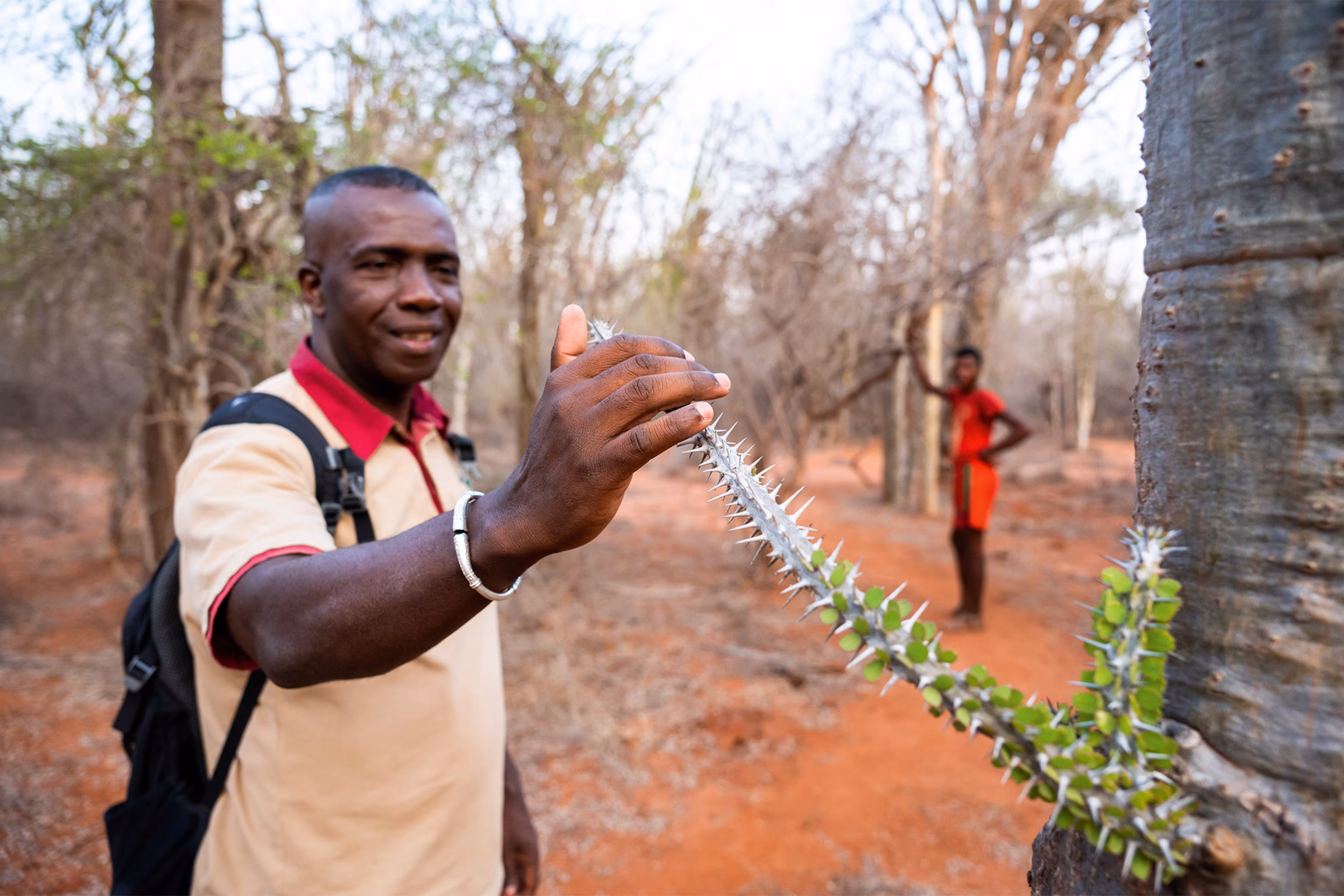 Lemurs Love This Fruit That Is Choking Madagascar’s Forests - 4
