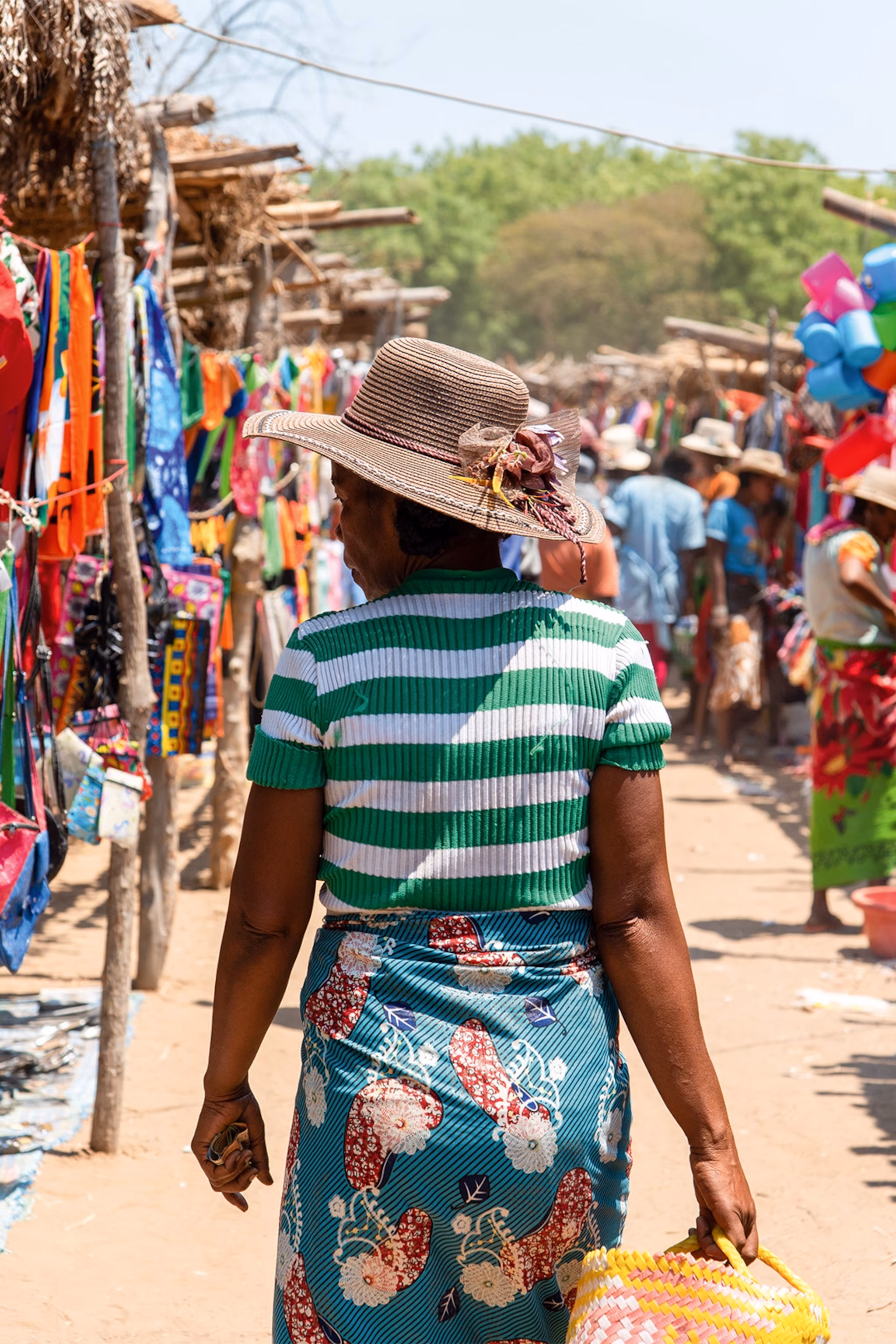 Lemurs Love This Fruit That Is Choking Madagascar’s Forests - 3