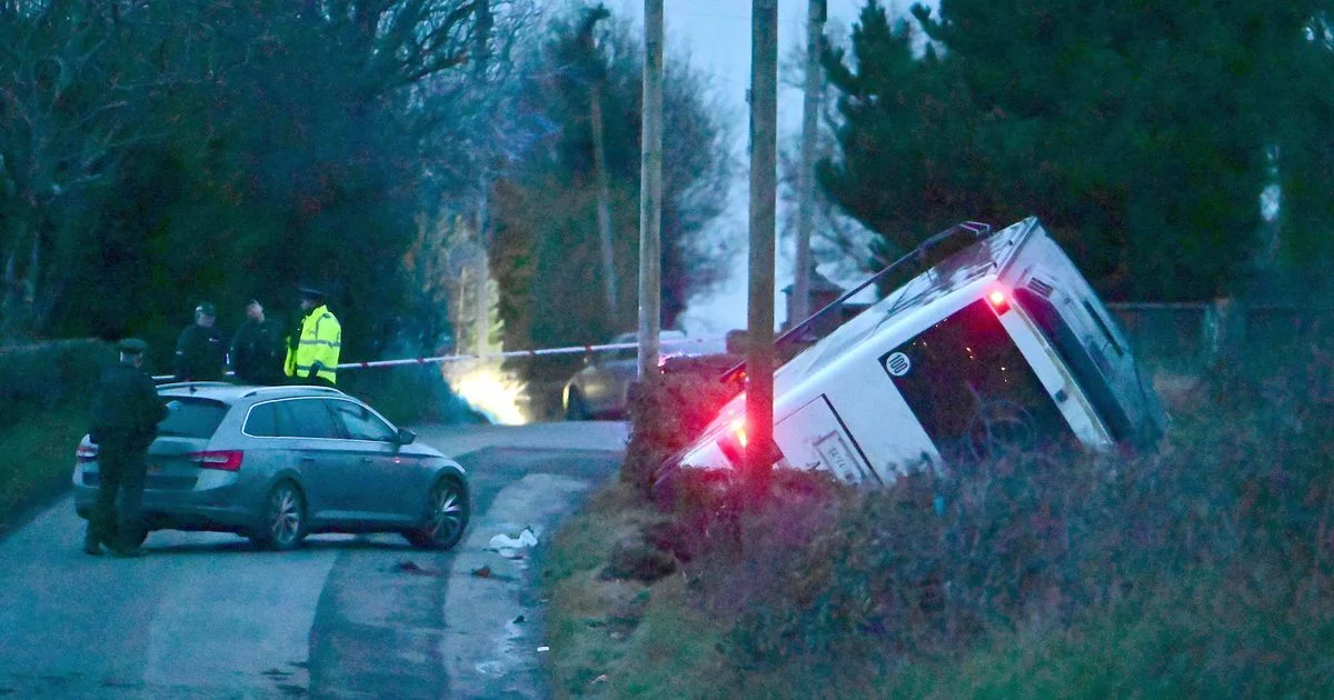 Pupils safe after County Armagh school bus crash - 1