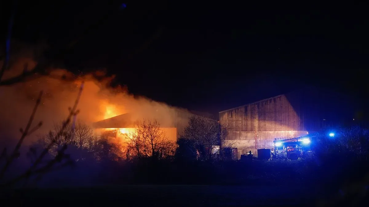 Hundreds of sheep saved from hay shed fire - 2