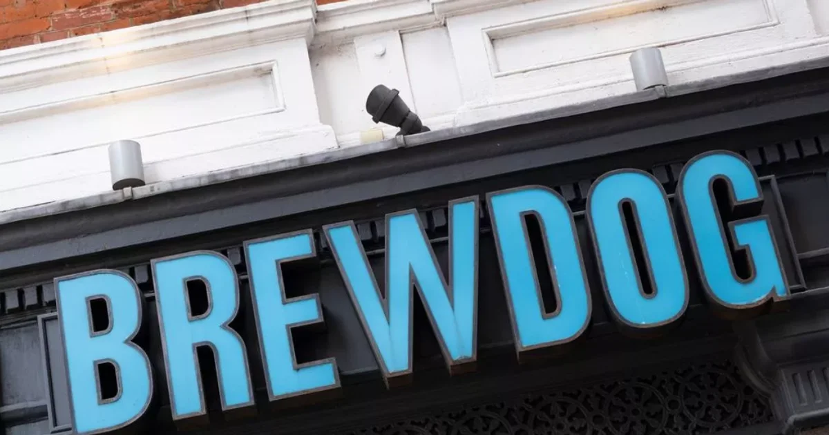Scottish craft beer brand Brewdog put up for sale - 1