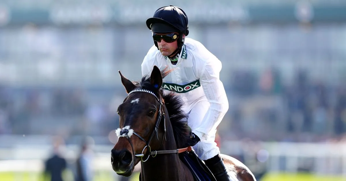 Paul Nicholls says Constitution Hill run on the Flat ‘a lot of hype about nothing’ - 3