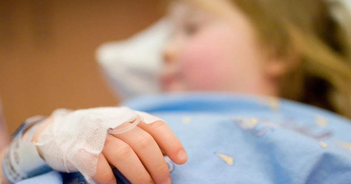 UKHSA issues half-term visit alert over E. coli and Salmonella risk - 1