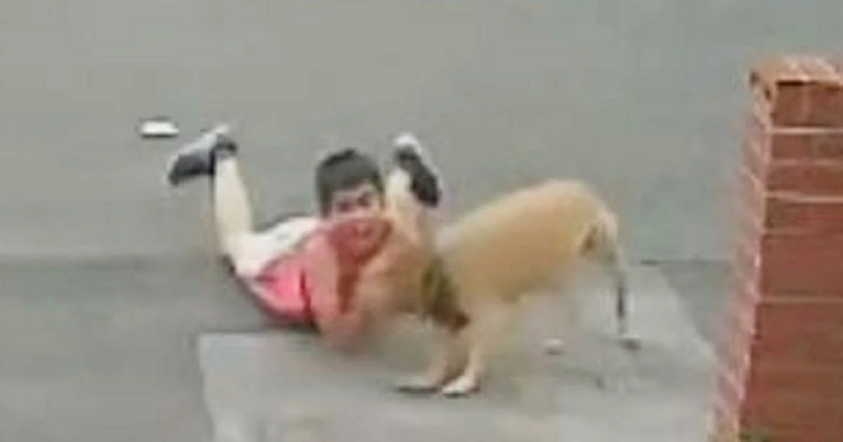 Son of a gun! Special moment for coach’s kid as Dogs crazy comeback falls short - 3