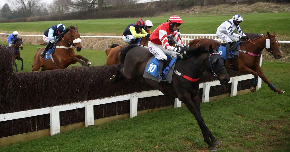 Lexington Jet chases hat-trick at Lingfield - 3