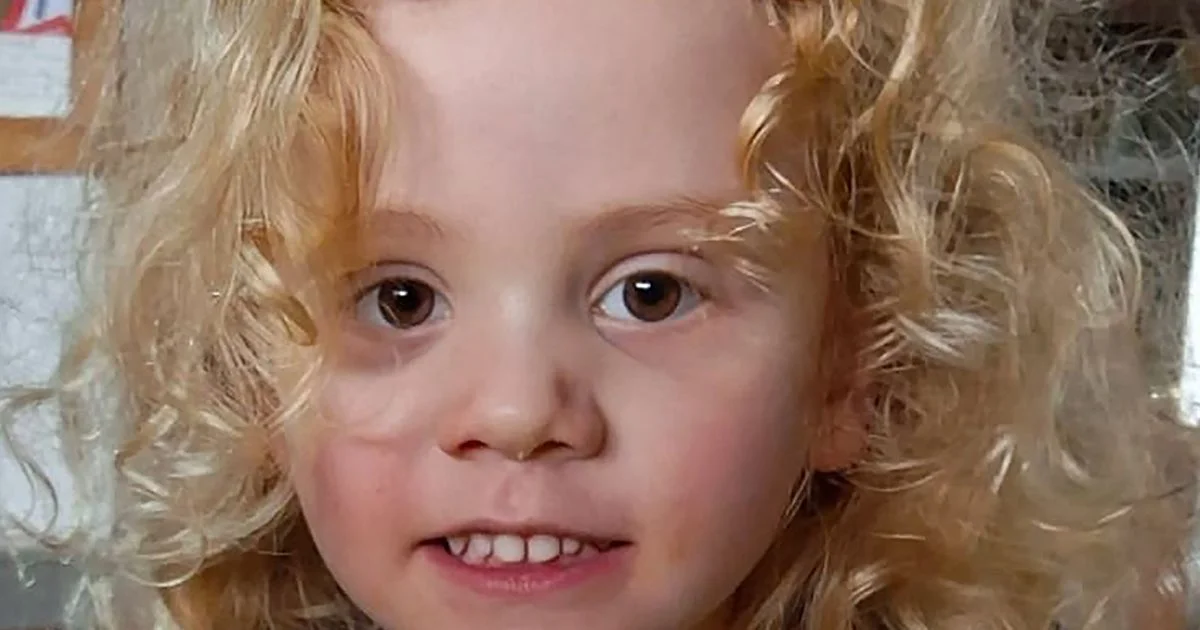 Grandparent, 75, charged after police search at remote station where four-year-old Gus Lamont went missing - 3