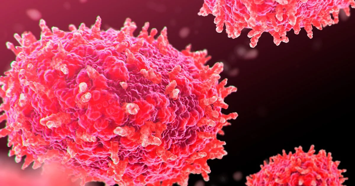 New recombinant mpox strain detected in UK and India, WHO urges continued monitoring - UN News - 2