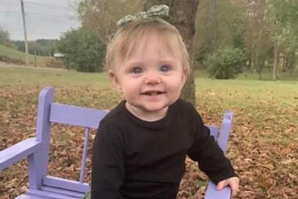 Too late to leave: Western Australians told to seek shelter as Tropical Cyclone Mitchell closes in - 2