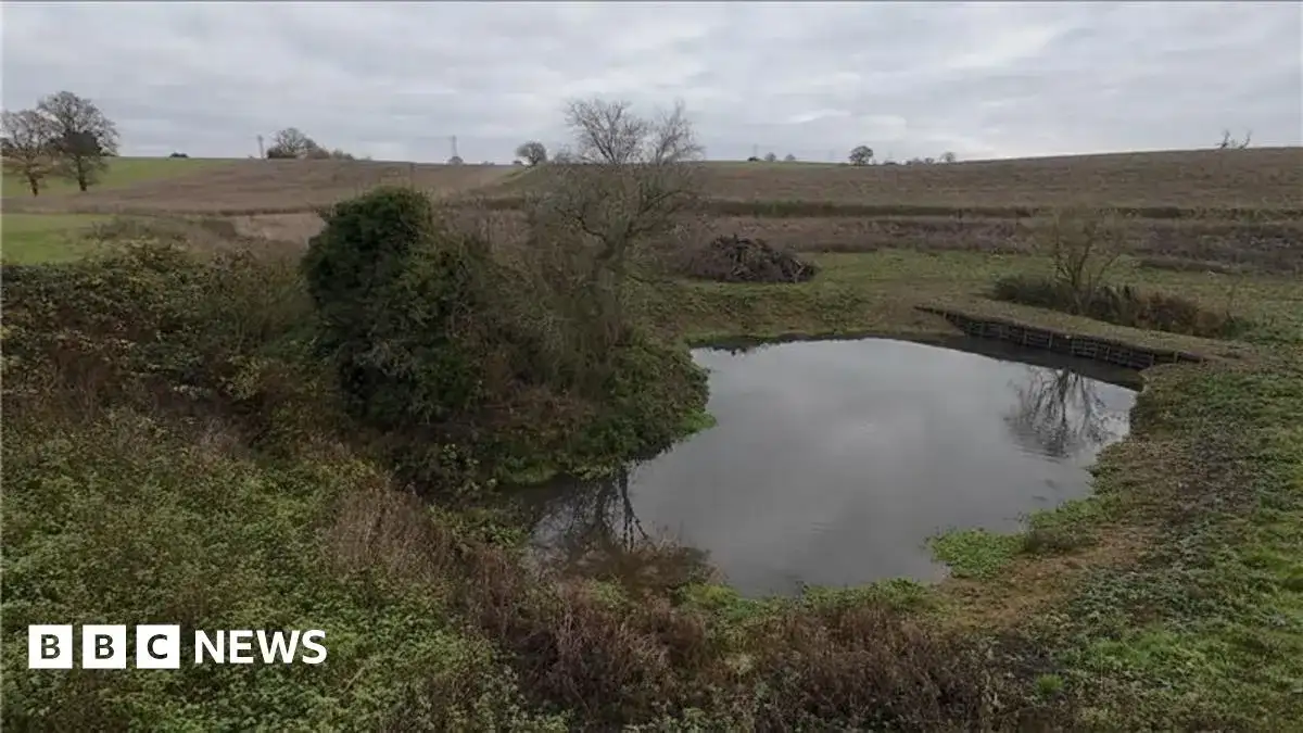 Water and wildlife return to farmland ponds - 3