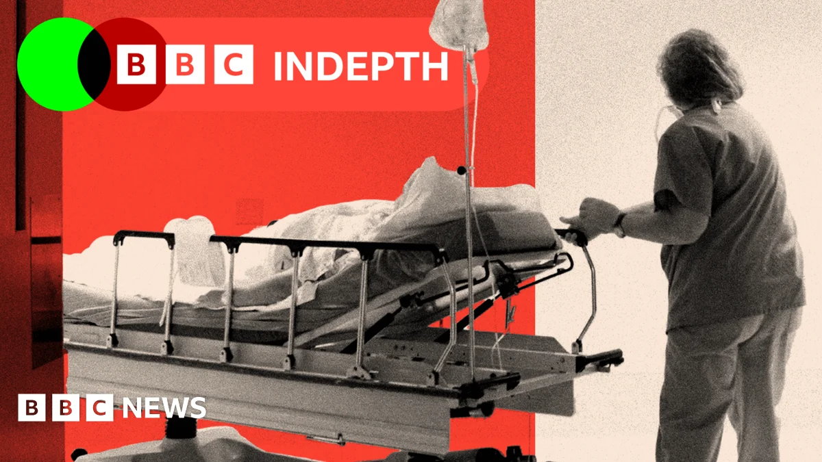 Why have efforts to bring in assisted dying law been thwarted? - 3