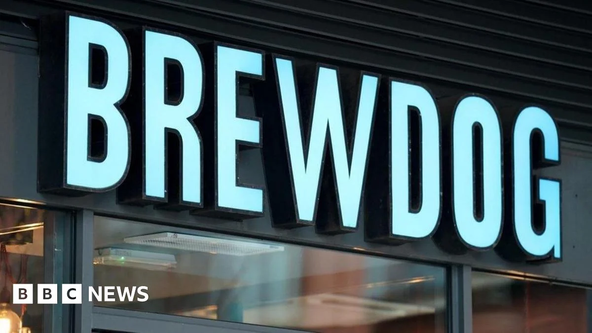 Scottish craft beer brand Brewdog put up for sale - 4