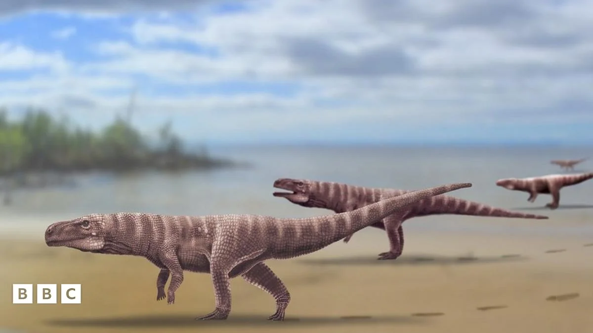 'Peculiar' crocodile ancestor started life on four legs before learning to walk on two - 2