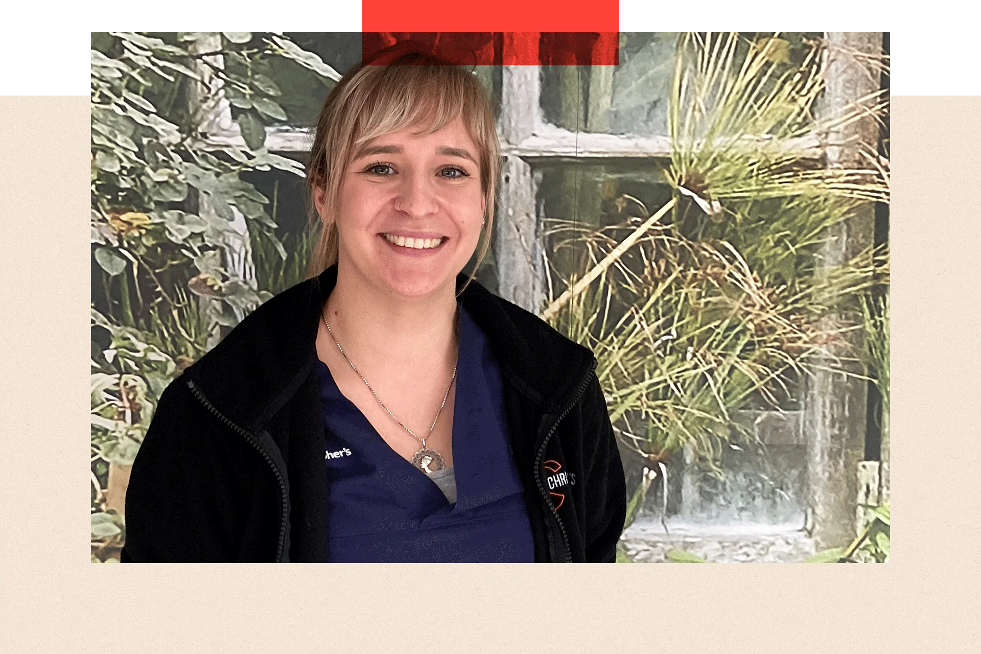 Why have efforts to bring in assisted dying law been thwarted? - 2