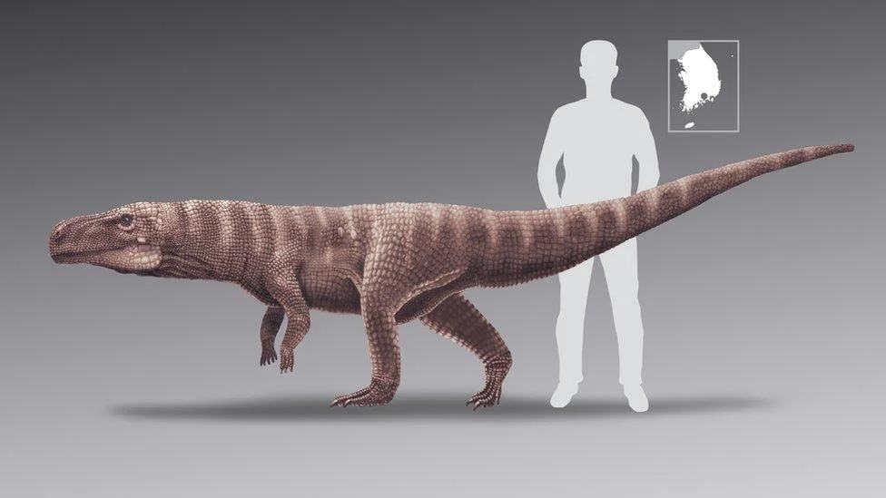'Peculiar' crocodile ancestor started life on four legs before learning to walk on two - 4