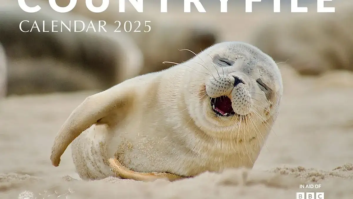 Countryfile legend addresses 'disappointing' axe as she eyes up other BBC show - 1