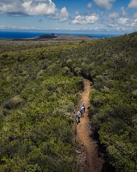 Floreana giant tortoise reintroduced to Galápagos island after almost 200 years - 2