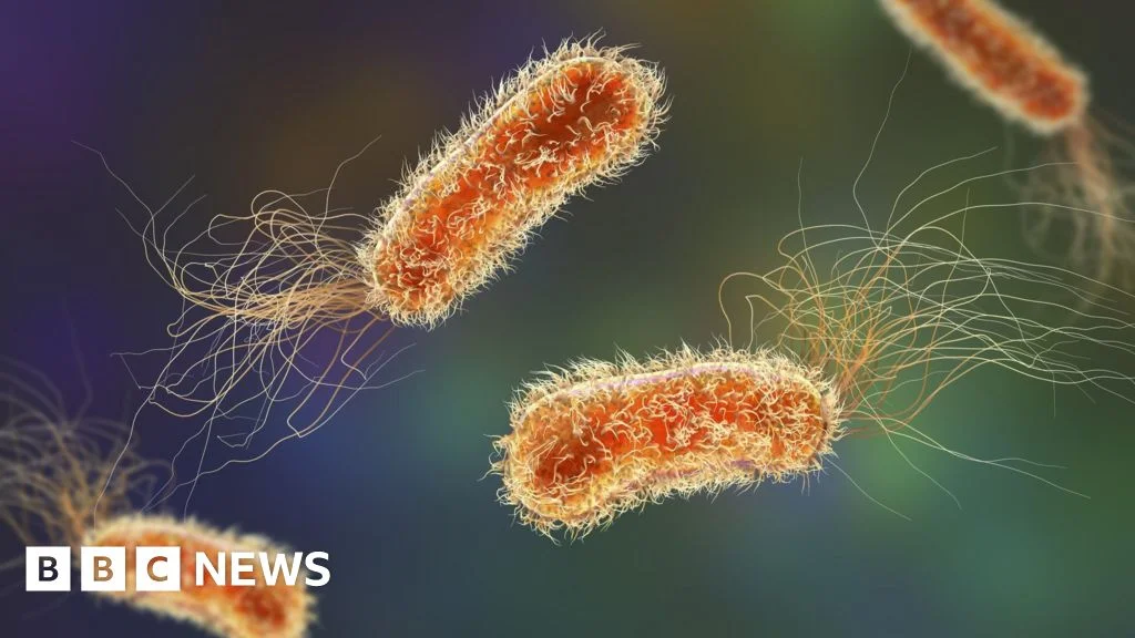 Antimicrobial resistance: Charles Darwin was right; India’s drug policy isn’t - 2