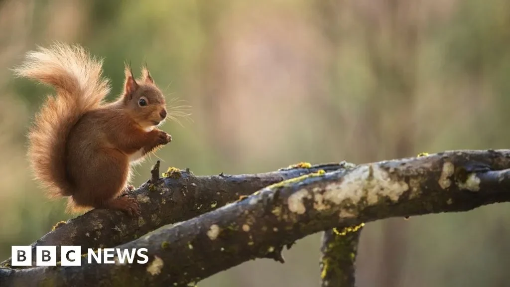 The Met Opera's Desperate Hunt for <b>Money</b> - The New York Times - 2