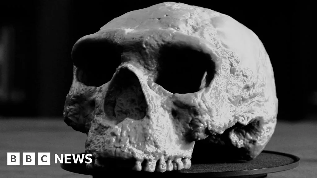 "Million-year-old" fossil skulls from China are far older—and not Denisovans - 3