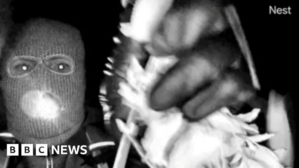 Nancy Guthrie Update: FBI Reveals Why Savannah's Mum Was Targeted in 'Unique' Kidnapping Case - 2