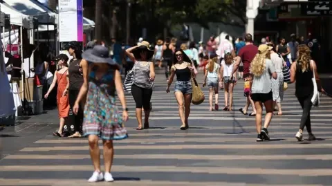 Fatbikes are wreaking havoc in Sydney's wealthy beach suburbs - 2