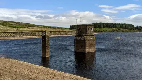 Why coping with heavy rain in Scotland's whisky country shows how to save water for the summer - 3