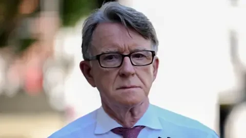 Foreign Office to review Mandelson's US ambassador pay-off - 4