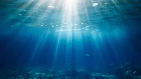 How a shift in the Gulf Stream could signal the collapse of a major ocean current system - 1