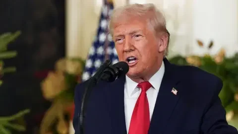 Taiwan Arms Sale Approved by Congress Is Delayed as Trump Plans Visit to Beijing - 3