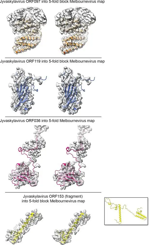 This giant virus just gave up its atomic blueprint - 2