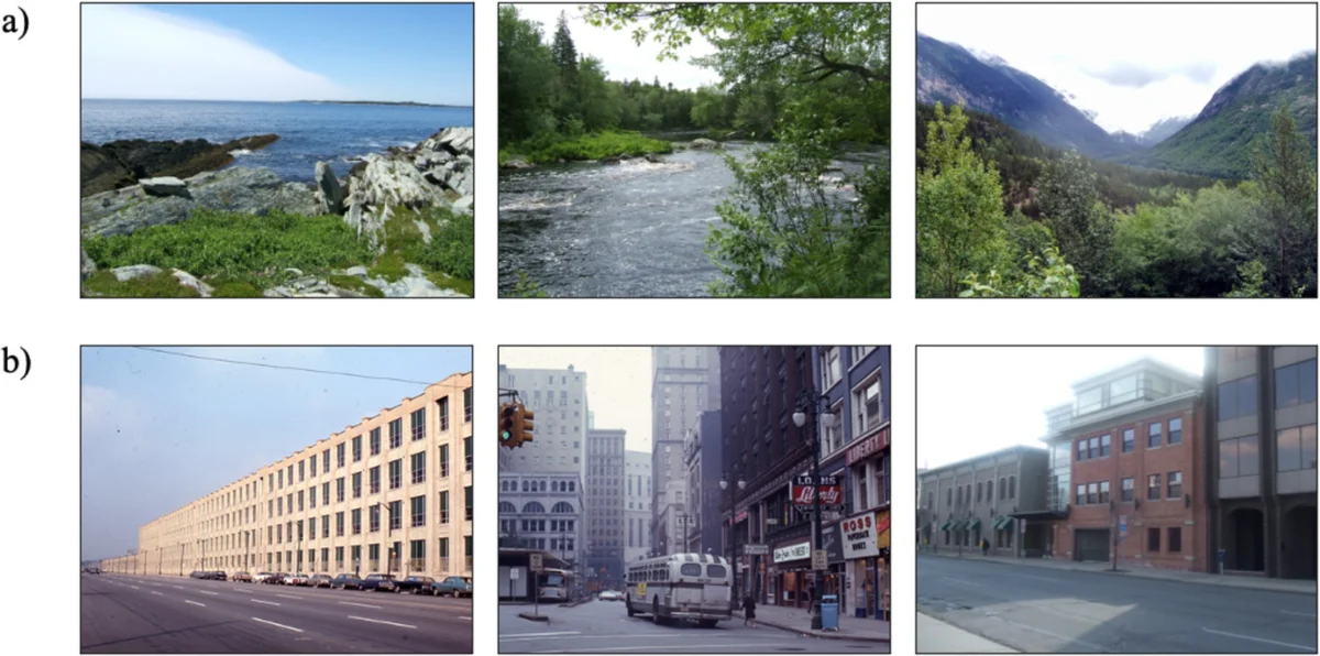 Brain responses to wildlife images can forecast online engagement—and help conservation messaging - 3