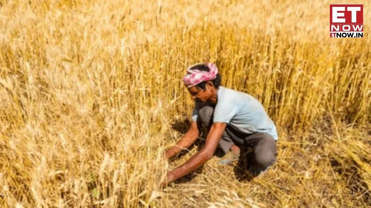 PM Kisan 22nd instalment update: Is farmer ID mandatory to receive Rs 2,000 payment? - 1