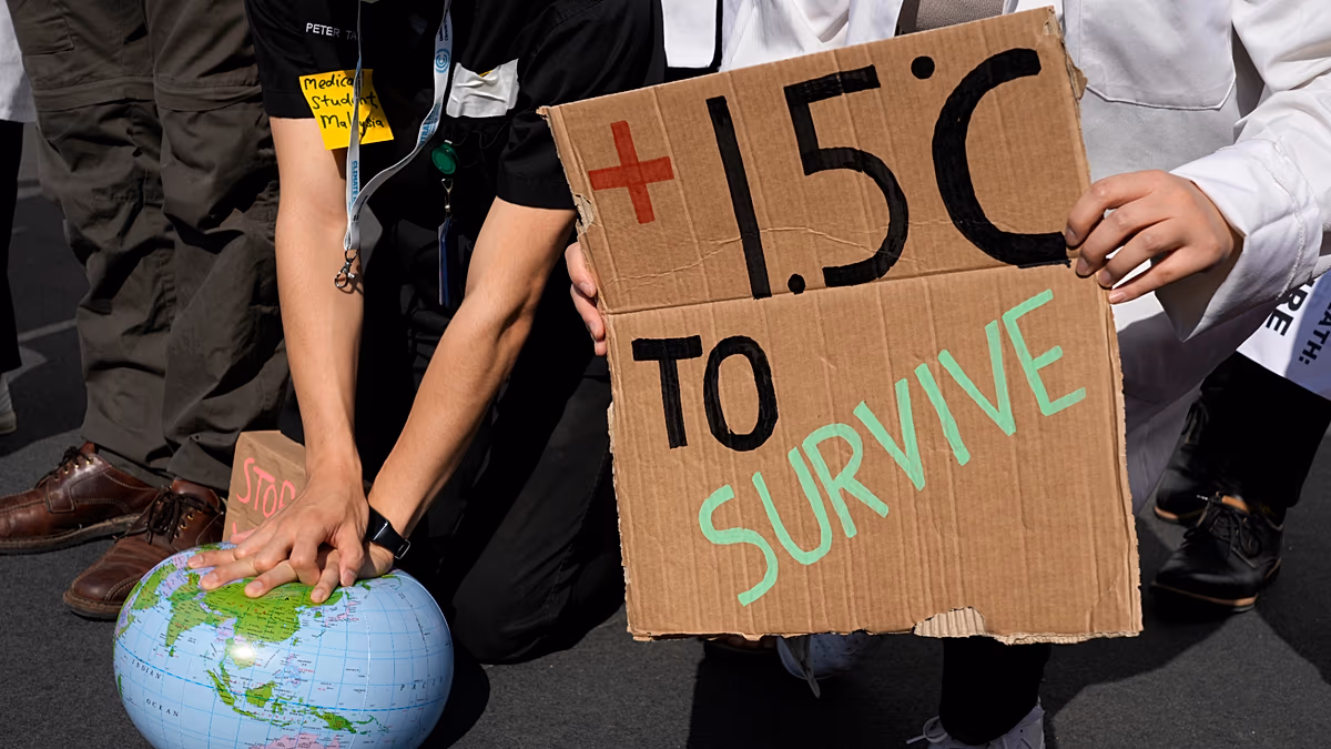 Overshoot reshapes climate strategies—but the path to net zero remains unchanged - 1