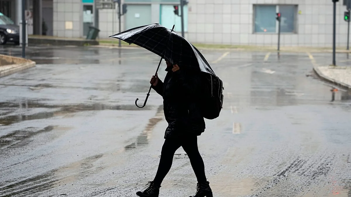 Portugal urged to adapt to climate emergency after country battered by successive storms - 3
