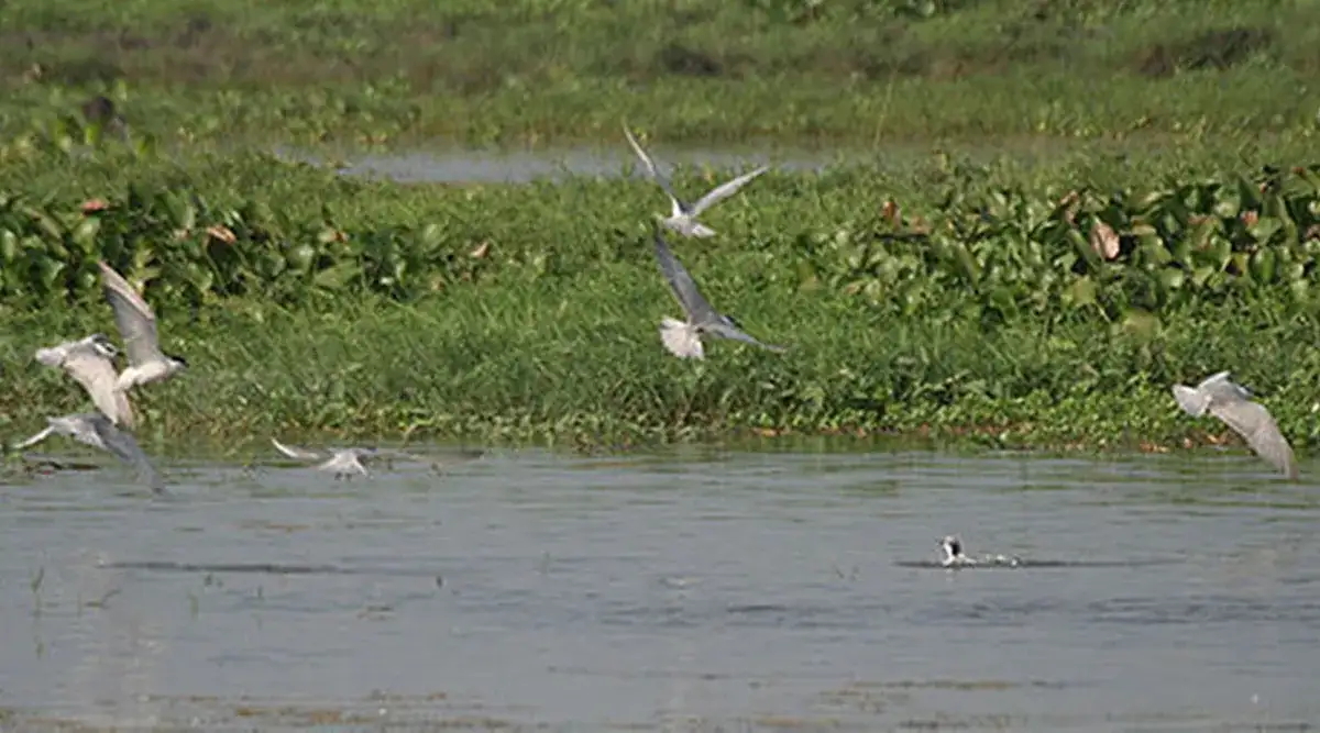 Death Stranding 2: On the Beach PC Performance Review - OC3D - Overclock 3D - 3