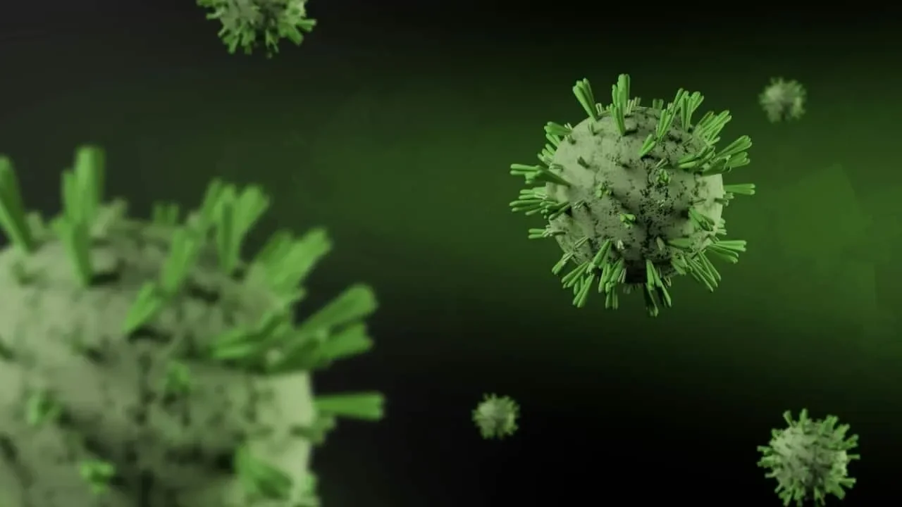 Alert issued against Nipah in Kerala from April to September - 1