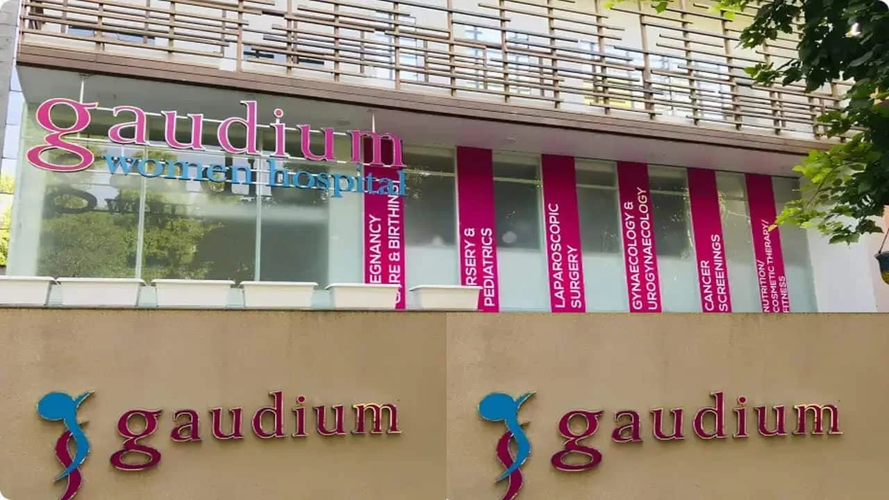 IPO Calendar: Gaudium IVF to open next week as Fractal, Aye Finance head for listing - 1