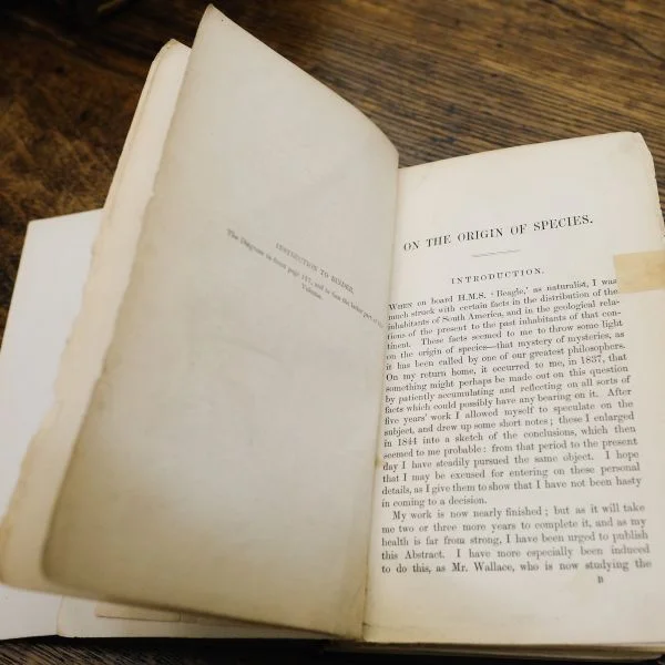 Natural selection can work at many levels, from molecules to ecosystems - 2