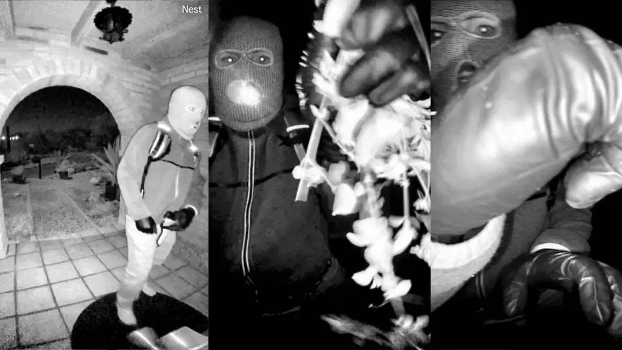 Nancy Guthrie Update: Son-In-Law Faces Scrutiny Over $1M Home And Inheritance Trail - 1