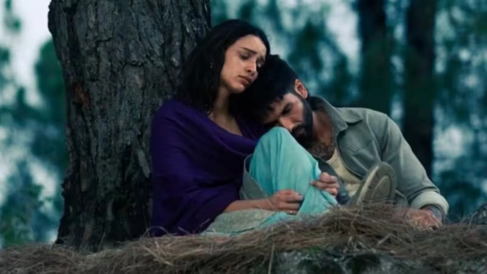 O Romeo Box Office Collection Day 3: Shahid Kapoor-Triptii Dimri’s film shows 25% fall despite weekend, earns Rs…; crosses… - 1