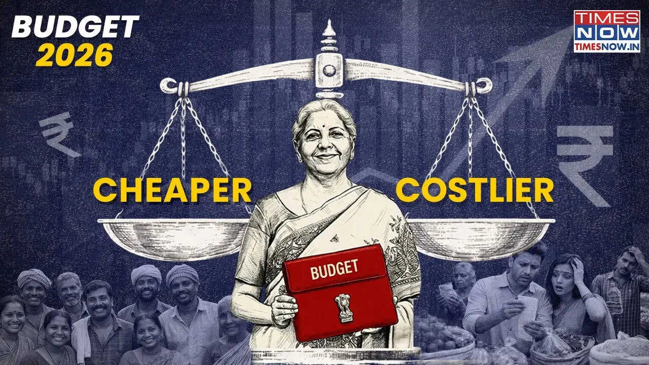 April 2026 price changes: What gets cheaper and costlier after Budget 2026 - 4