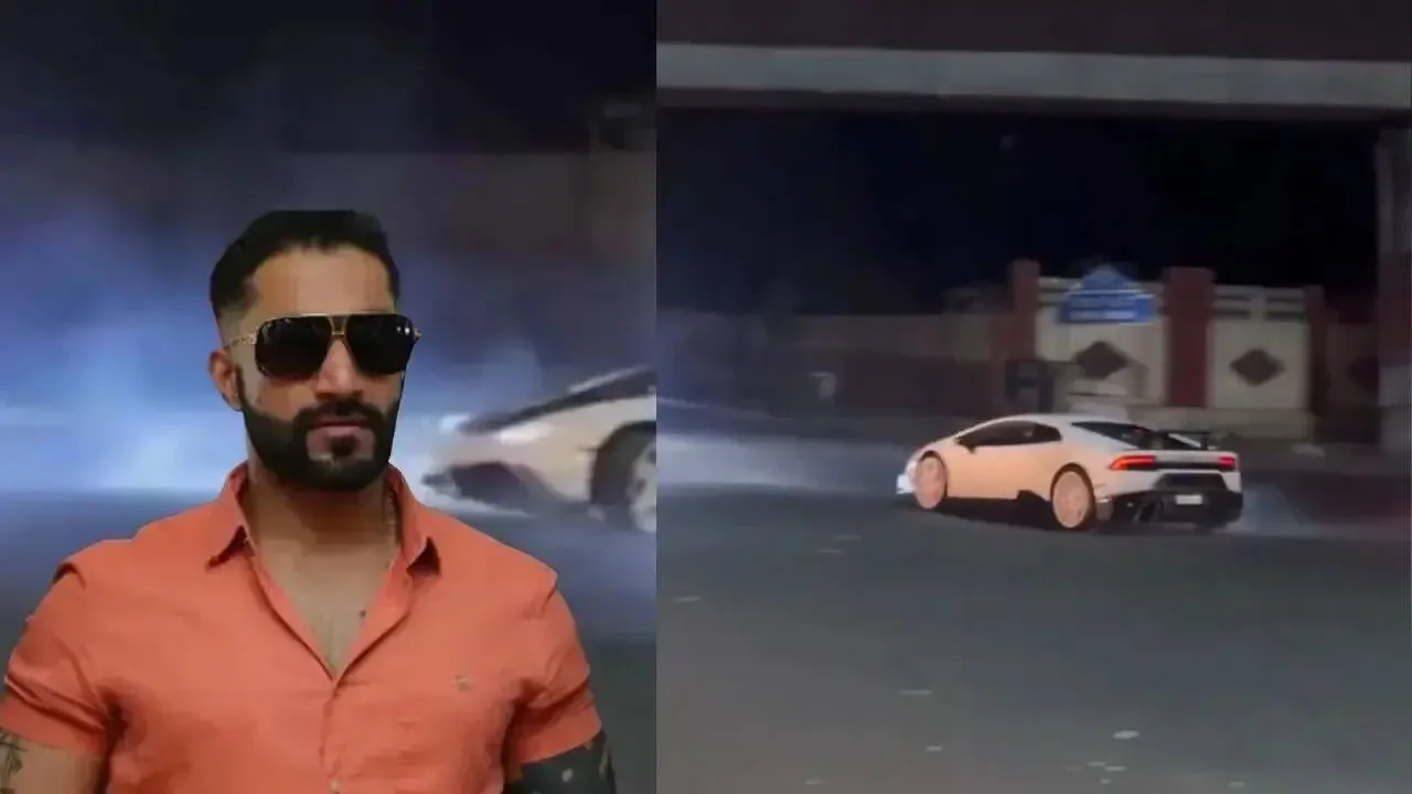 Salvare api e farfalle: Buzz Life, il piano europeo per riportare la natura in città - 2