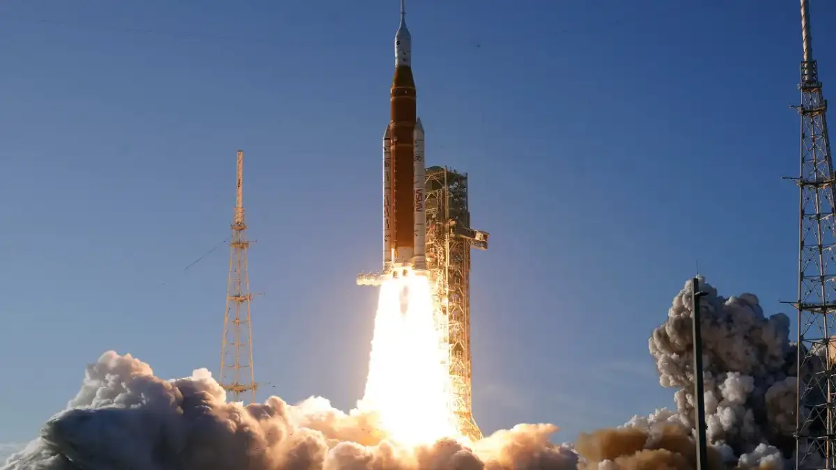 Celeriac are not pretty – or to my taste – but if you’re a fan, start sowing now - 3