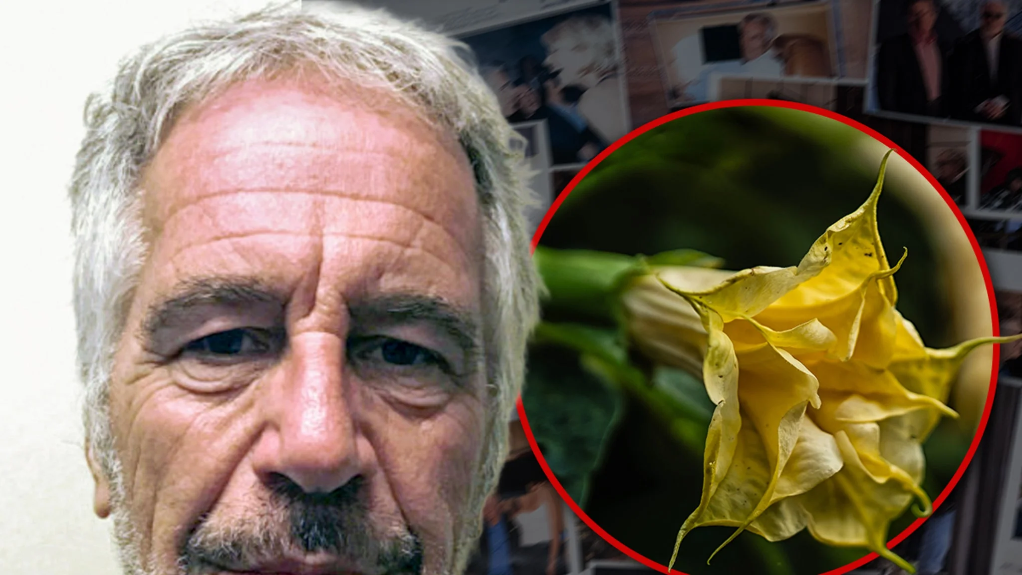 Epstein kept a secret garden of toxic plants that turn people into 'zombies,' emails show - 1
