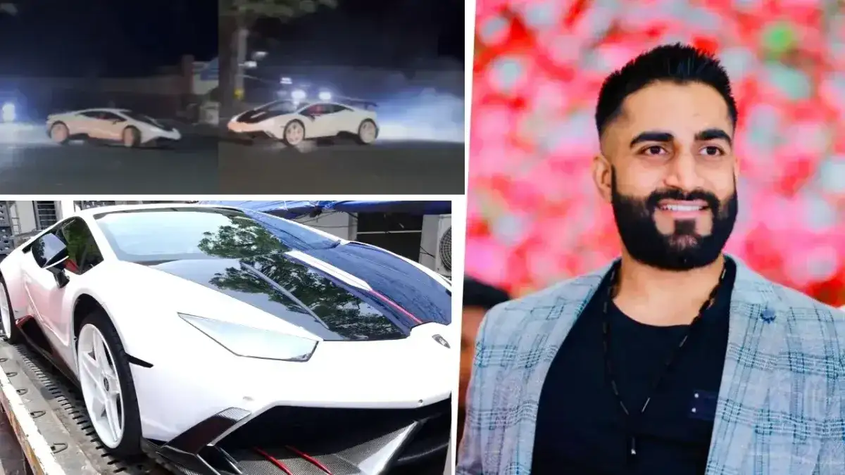 Salvare api e farfalle: Buzz Life, il piano europeo per riportare la natura in città - 1