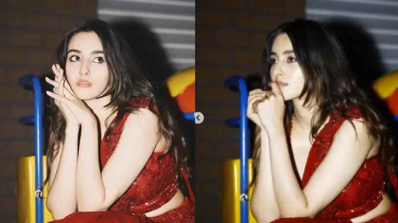 Harrdy Sandhu to headline new Punjabi film; Gadar 2 actress Simrat Kaur likely to star opposite - 2