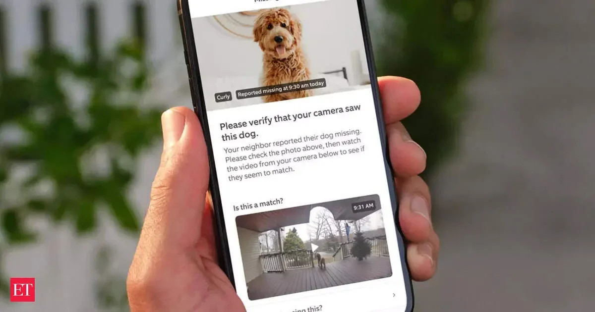 These people used AI to help find their lost pets - 3