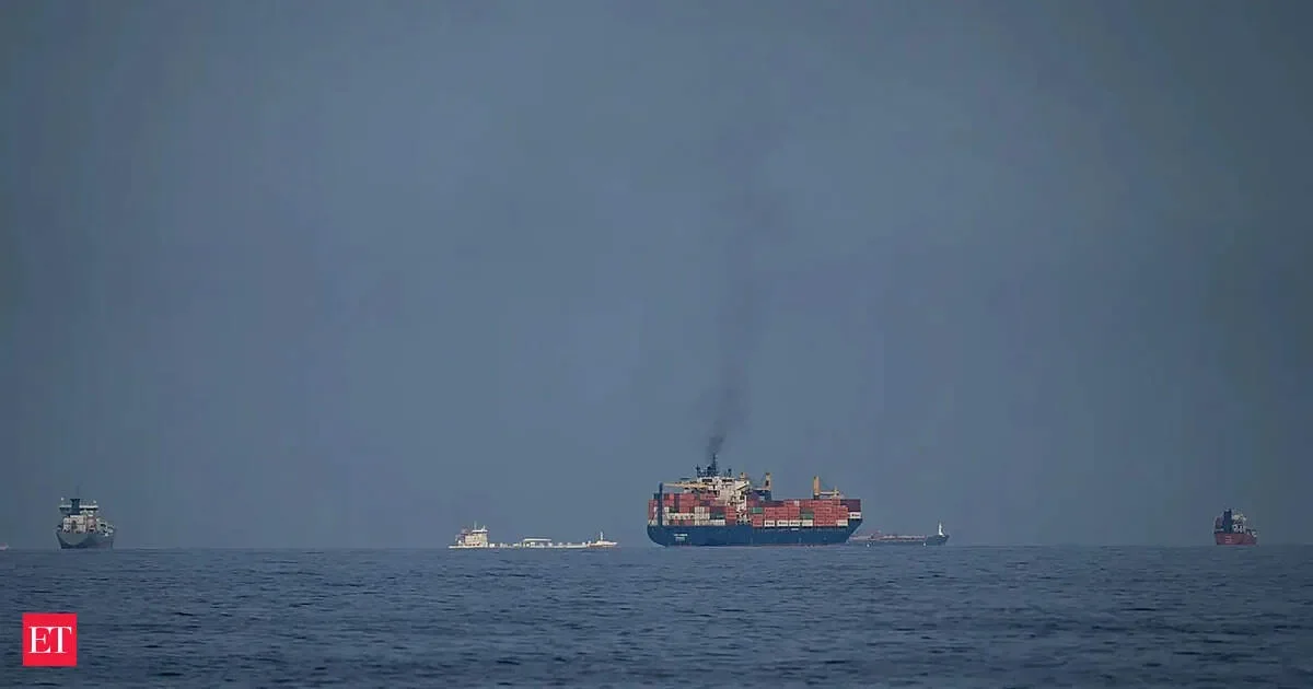 Koala Parenting Sounds Lovely And Cuddly, But It Could Be A Recipe For Burnout - 1